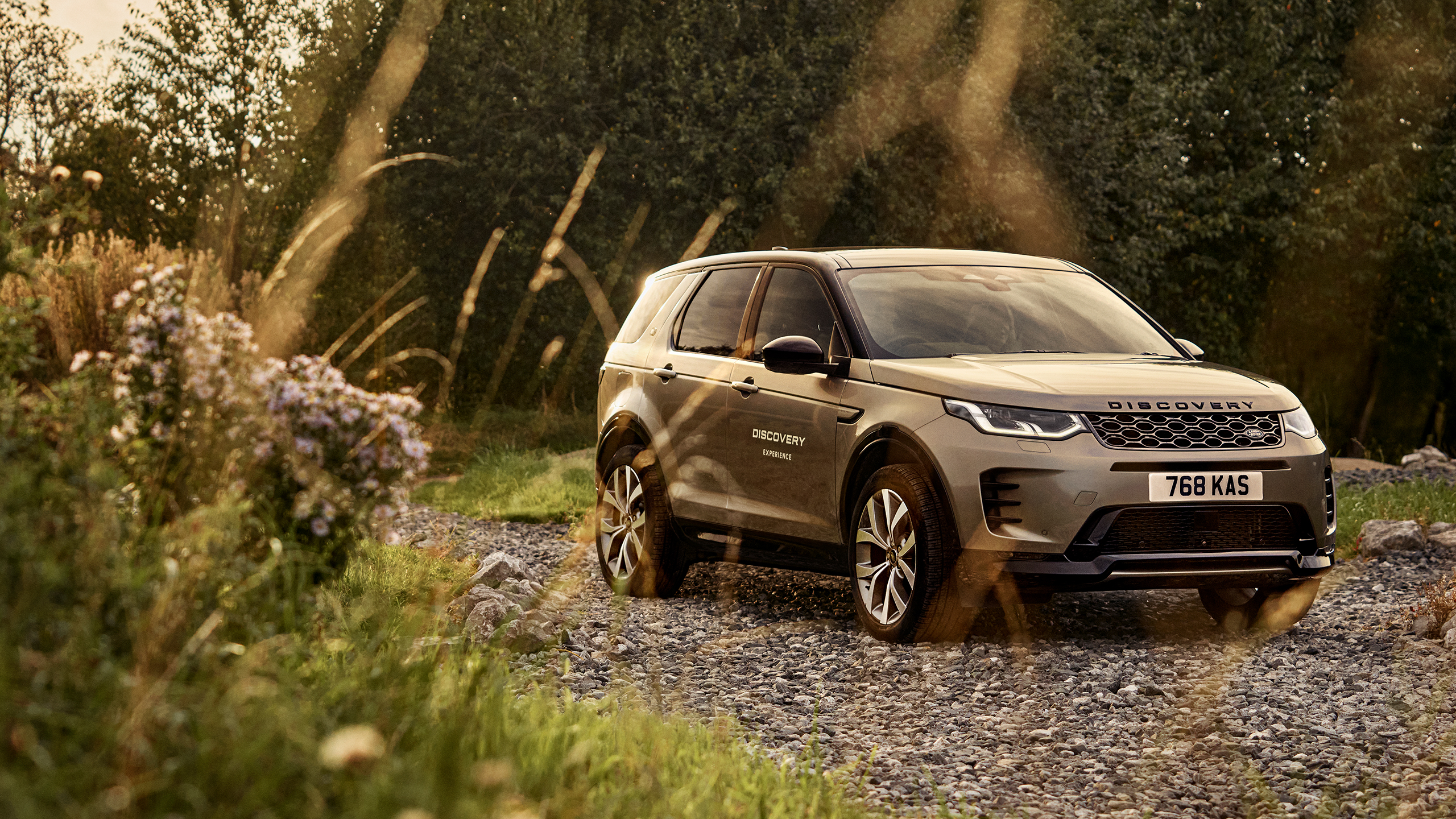 DISCOVERY ONE HOUR EXPERIENCE